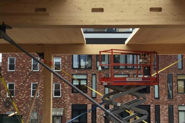 Projet Wythe ave. - Structure de bois