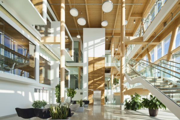 Projet Entreprise en biotechnologie - Structure en bois