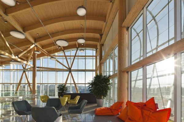 Projet Entreprise en biotechnologie - Structure en bois