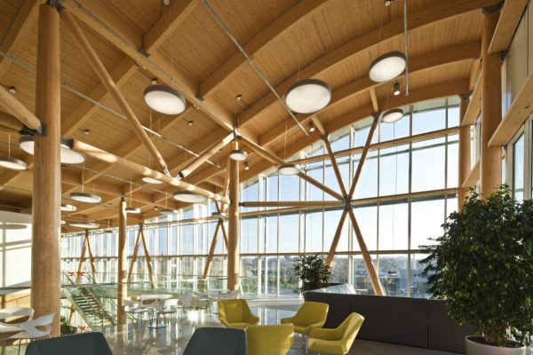 Projet Entreprise en biotechnologie - Structure en bois