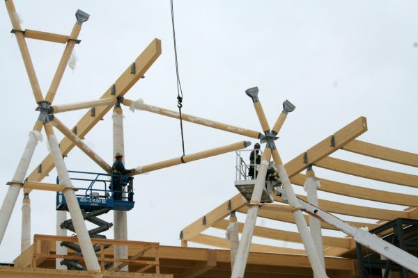 Projet Entreprise en biotechnologie - Structure en bois