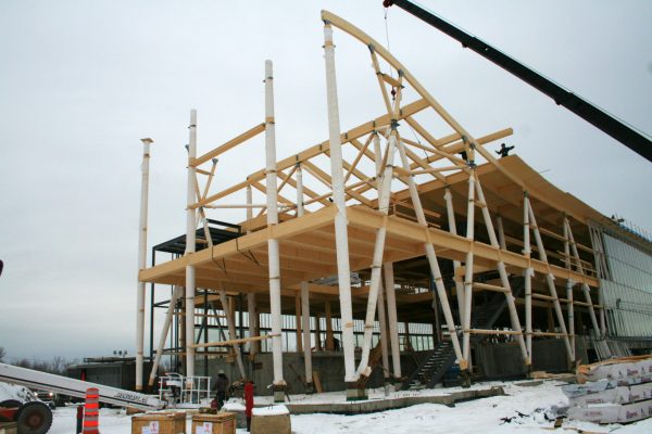 Projet Entreprise en biotechnologie - Structure en bois