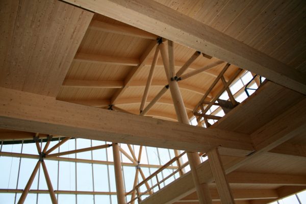 Projet Entreprise en biotechnologie - Structure en bois