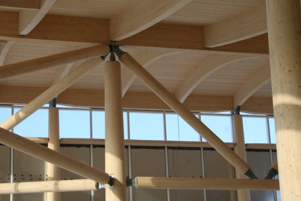Projet Entreprise en biotechnologie - Structure en bois