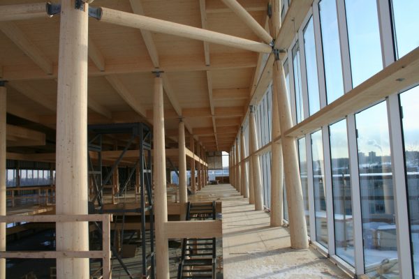 Projet Entreprise en biotechnologie - Structure en bois