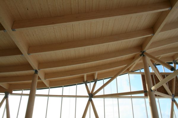 Projet Entreprise en biotechnologie - Structure en bois