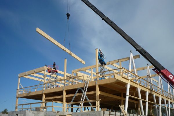 Projet Entreprise en biotechnologie - Structure en bois