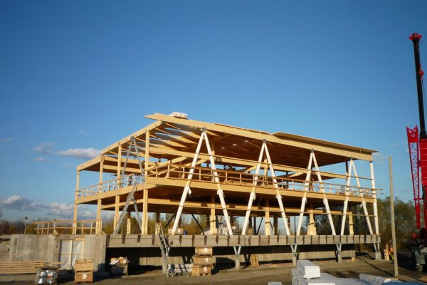 Projet Entreprise en biotechnologie - Structure en bois